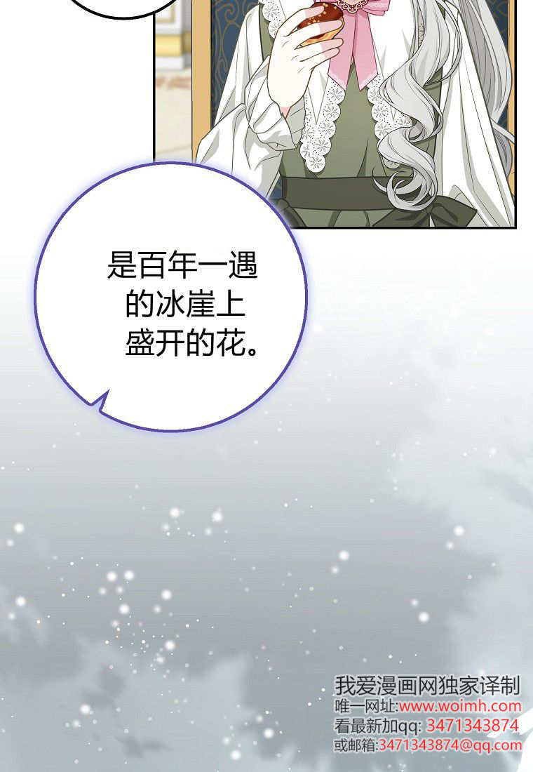 《黑豹家族的雪豹宝宝》第26话 第46页