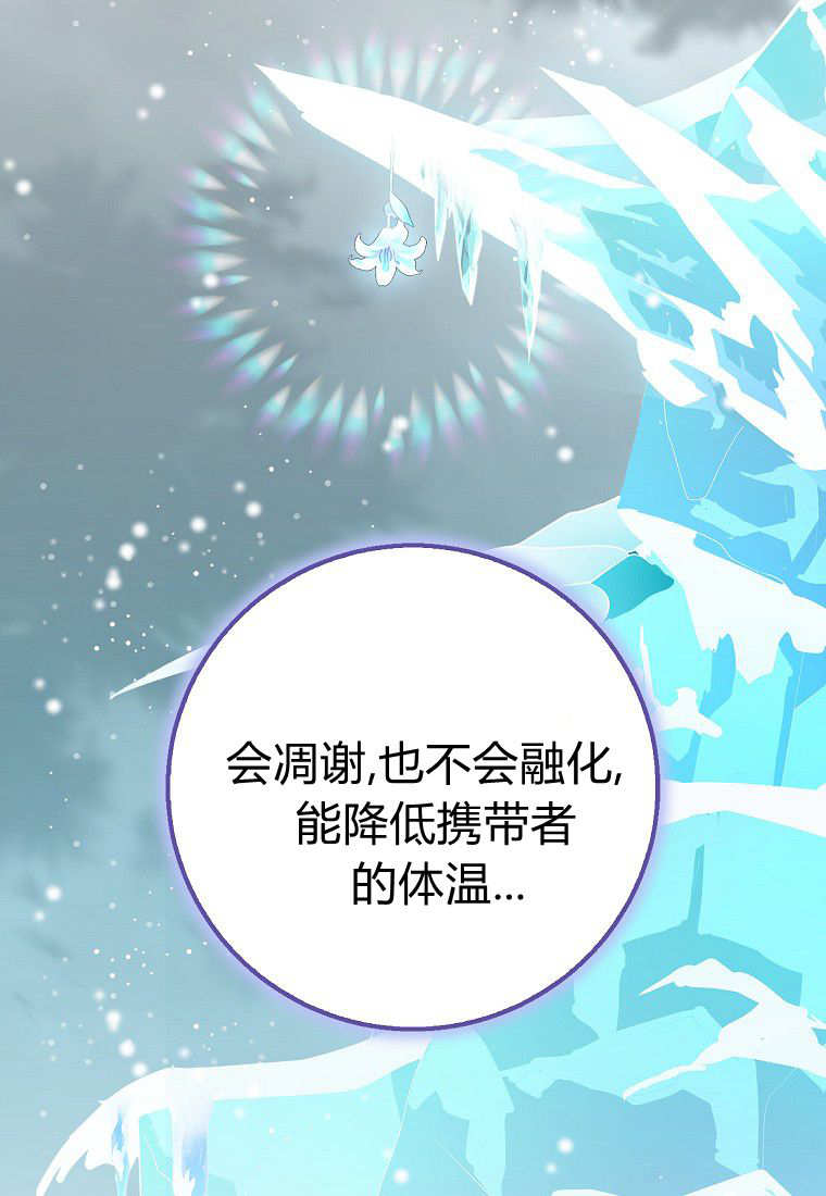 《黑豹家族的雪豹宝宝》第26话 第47页