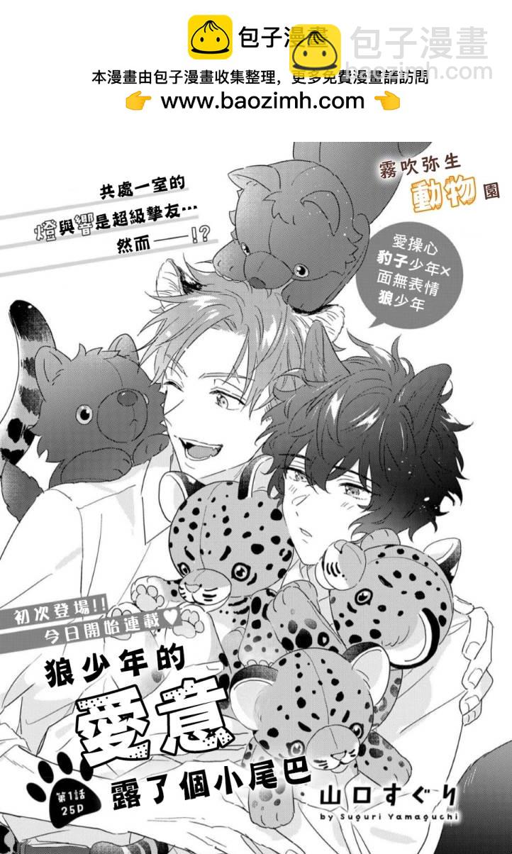 《狼少年的爱意露了个小尾巴》第01话 第2页