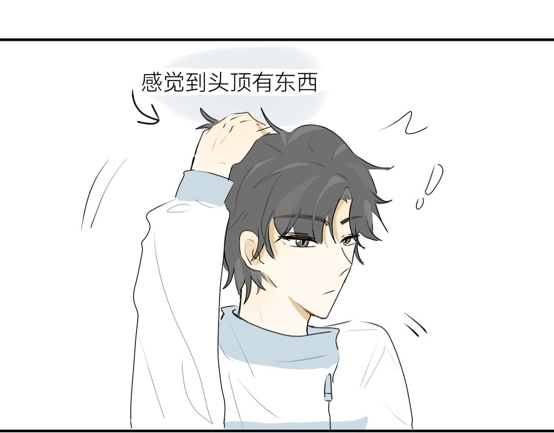《脸皮有点厚了》第十四话好看吗？ 第16页