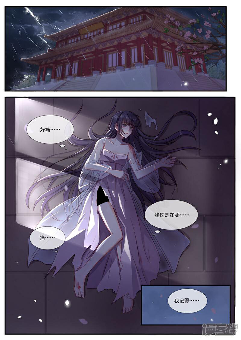 《邪君的神医小妾》第2话 第3页