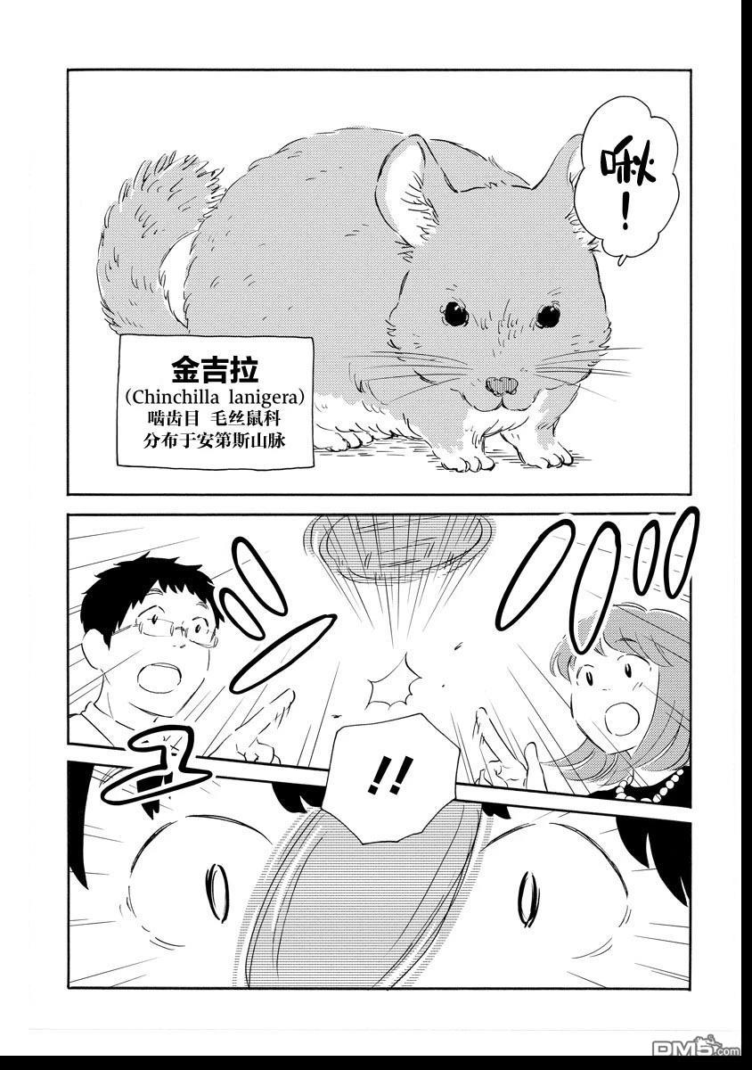 《黄段子王之死》短篇 第19页