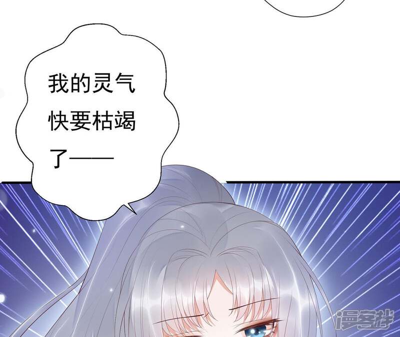 《知君深情不易》第65话 攻击苒苒的，是十五？ 第63页