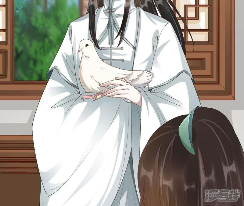《知君深情不易》第68话 苒苒圣泉被夺！ 第51页