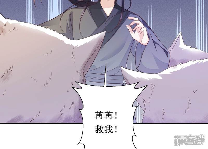《知君深情不易》第184话 他不会骗我 第46页