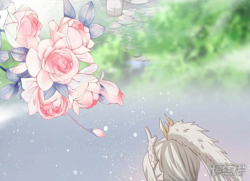 《知君深情不易》第207话 神女族凤兮 第186页