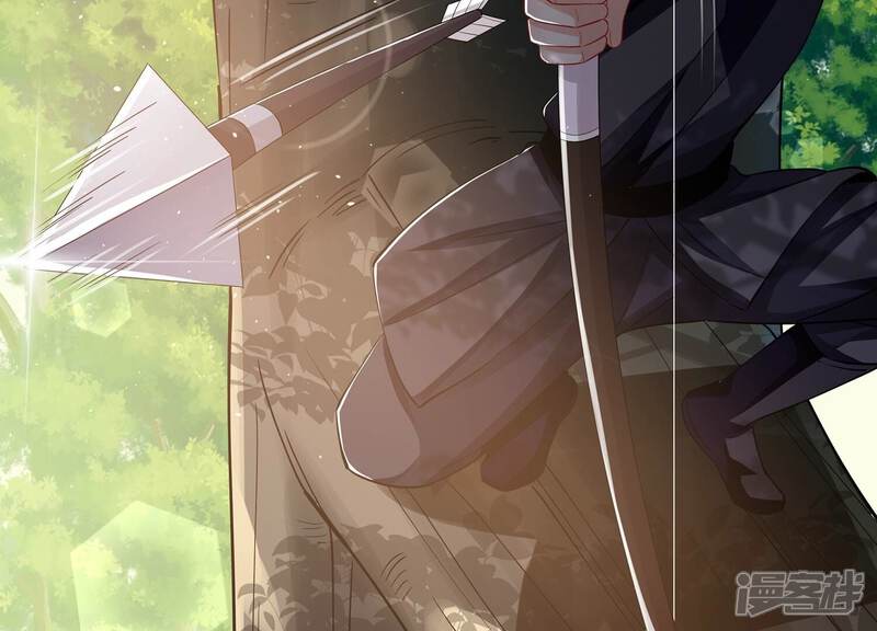 《反派宠妃太难当》第70话 猎场刺杀 第68页