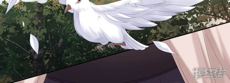 《反派宠妃太难当》第127话 这仇一定要报 第19页