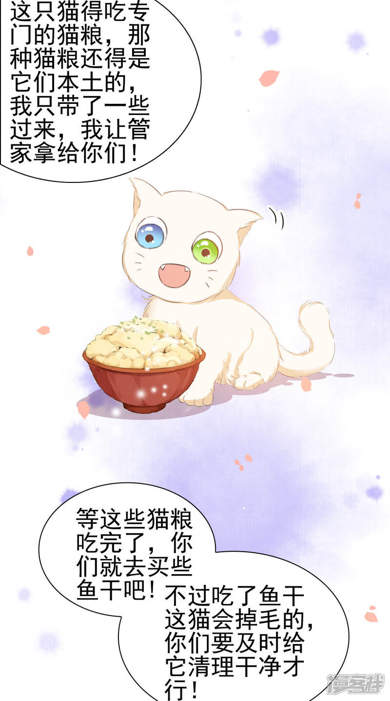 《公主落凡尘》第24话 初入罗府 第29页