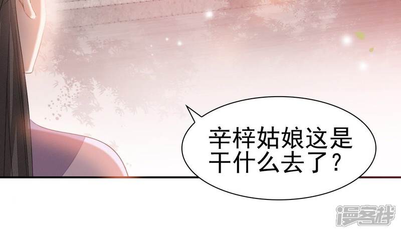 《公主落凡尘》第31话 给柳意笙送信 第36页