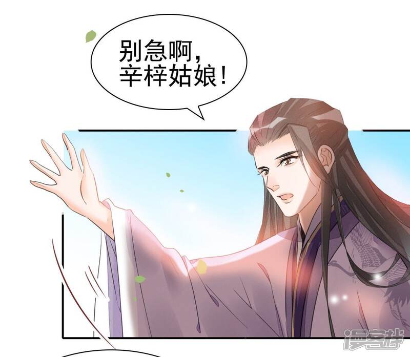 《公主落凡尘》第31话 给柳意笙送信 第46页