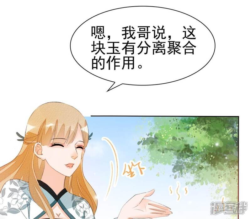 《公主落凡尘》第38话 合离玉 第29页