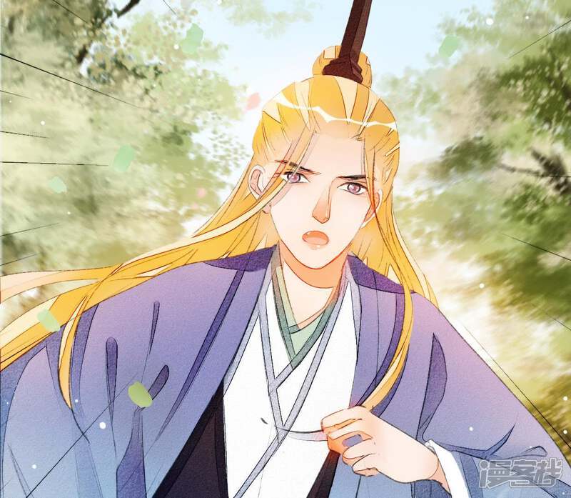 《公主落凡尘》第41话 委以重任 第29页