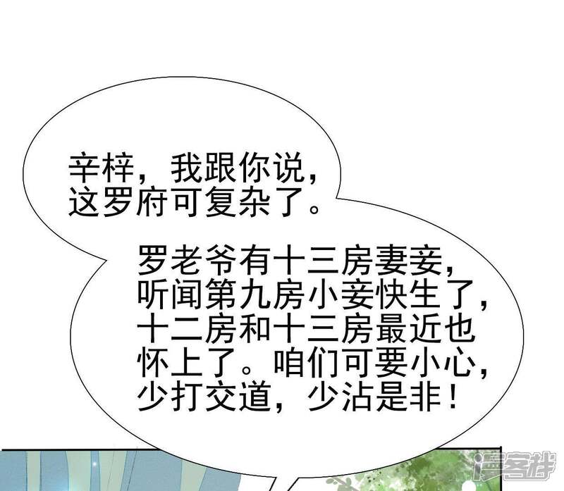 《公主落凡尘》第42话 入住罗府 第29页
