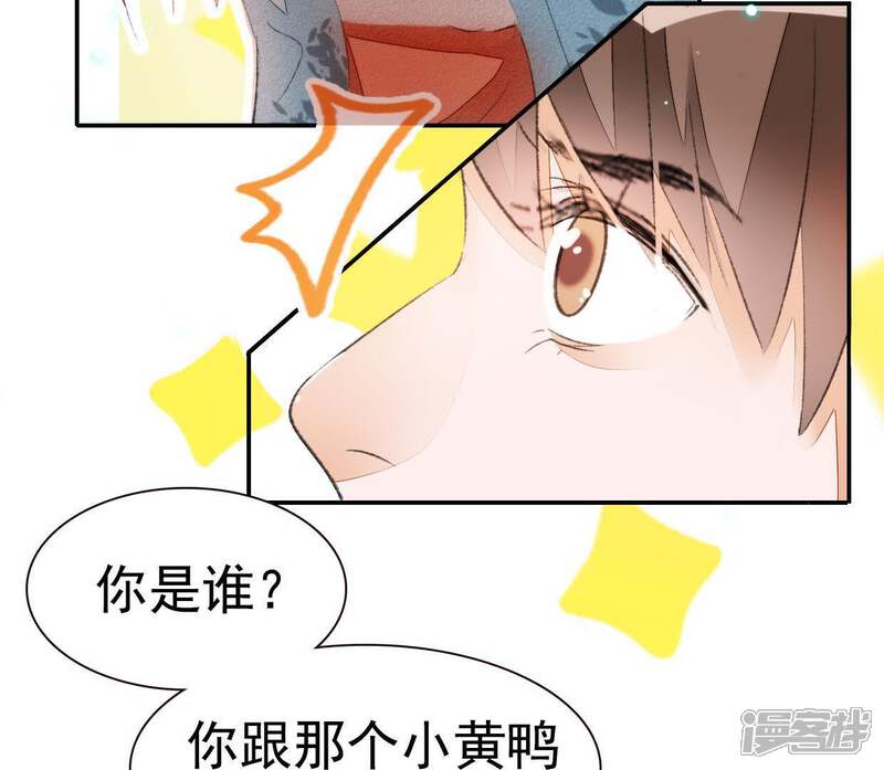 《公主落凡尘》第44话 小黄鸭是谁 第29页