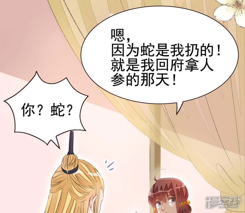《公主落凡尘》第65话 关于安卉 第62页
