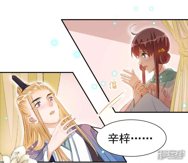 《公主落凡尘》第67话 不消停的晚上 第37页