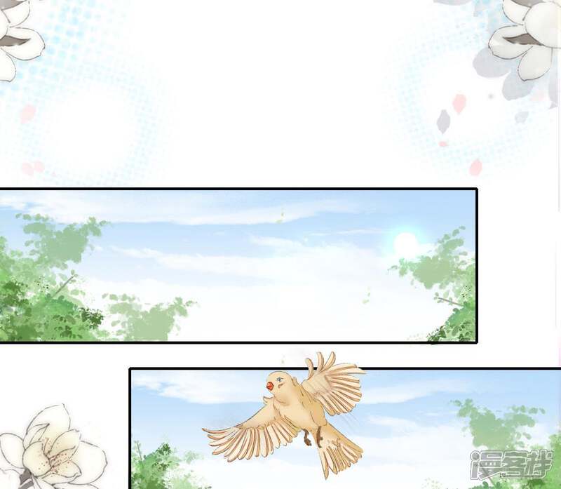 《公主落凡尘》第69话 三年前的安卉 第19页