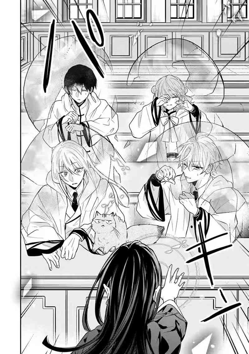 《因为被废弃了婚约所以开始在男校做魔法教师了》短篇 第16页