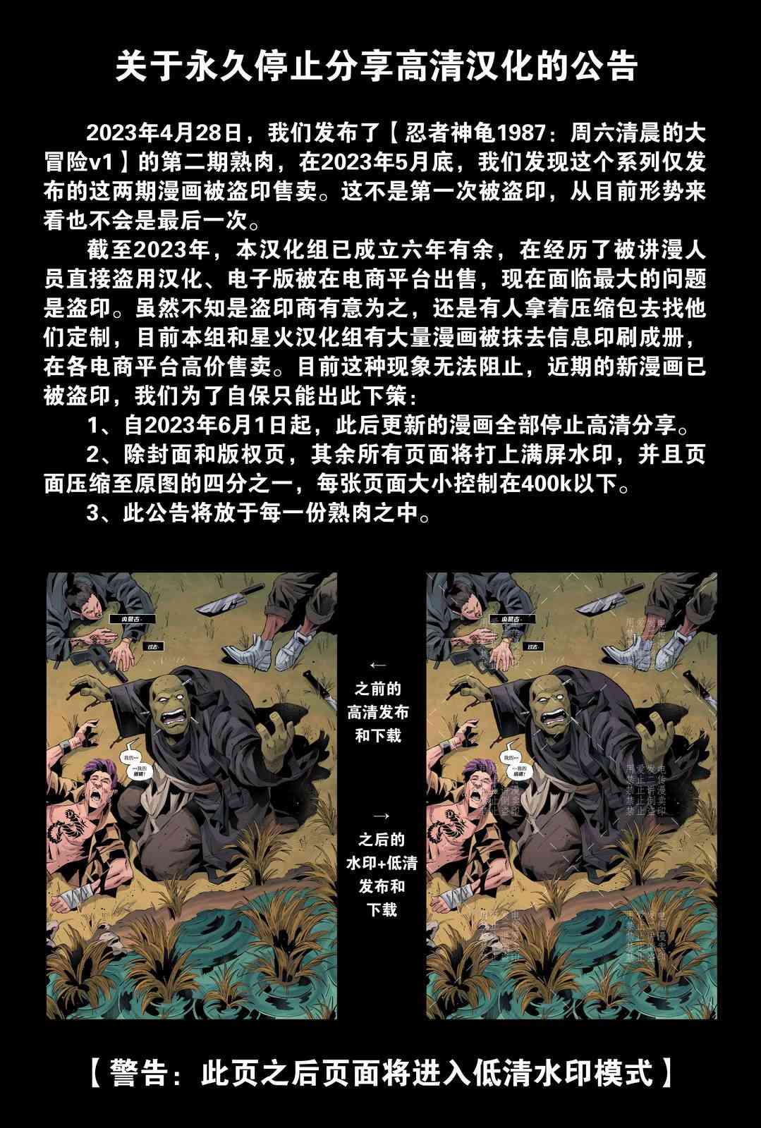 《忍者神龟大战街头霸王》第01卷 第3页