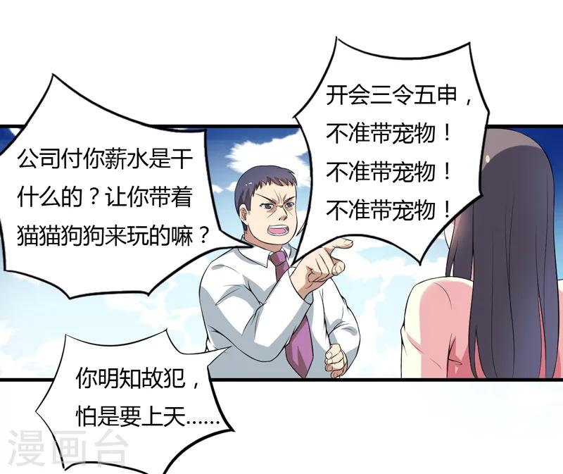 《在下铲屎官喵王在上》第4话 偷腥的大老板？ 第30页