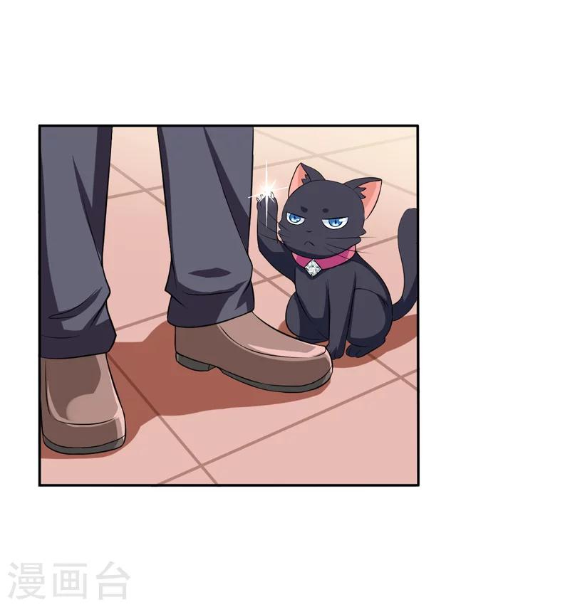 《在下铲屎官喵王在上》第4话 偷腥的大老板？ 第34页