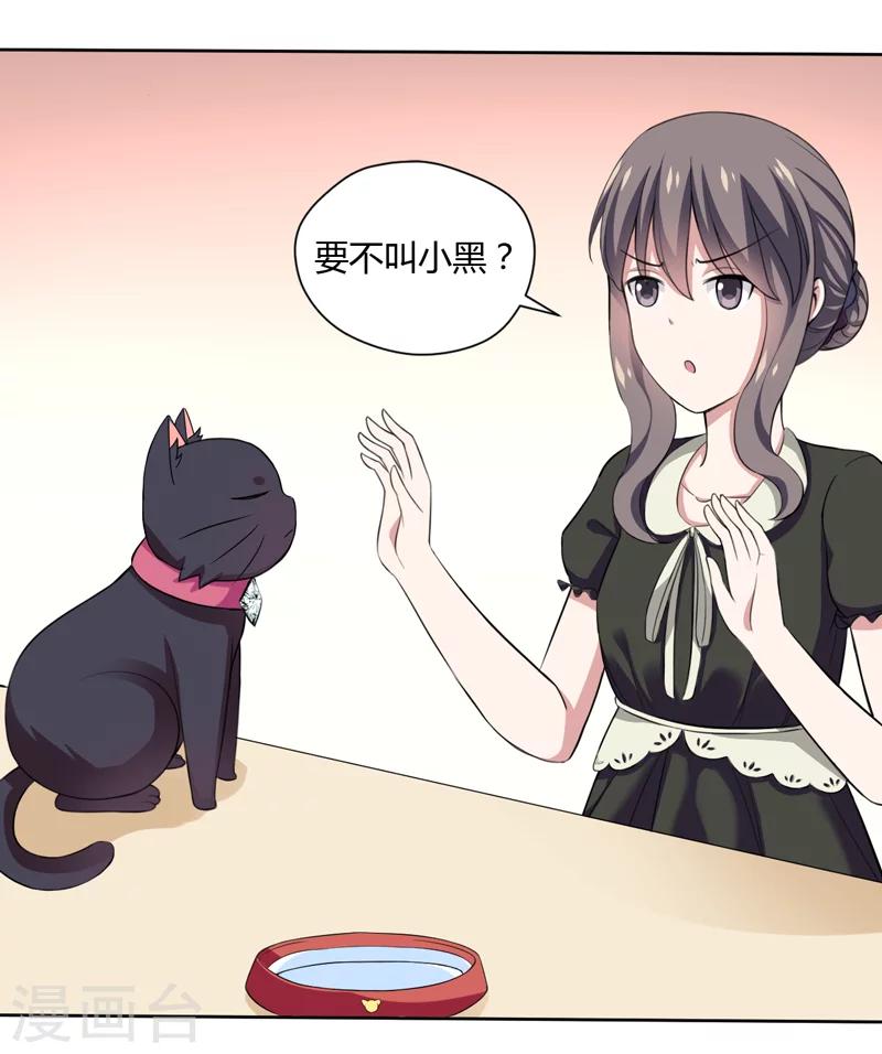 《在下铲屎官喵王在上》第2话 猫大爷太磨人了 第6页