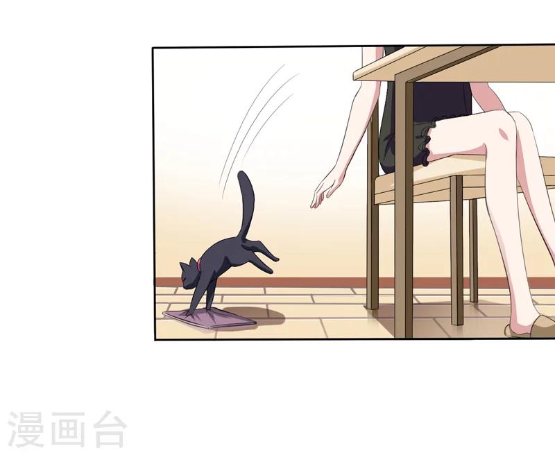 《在下铲屎官喵王在上》第2话 猫大爷太磨人了 第8页