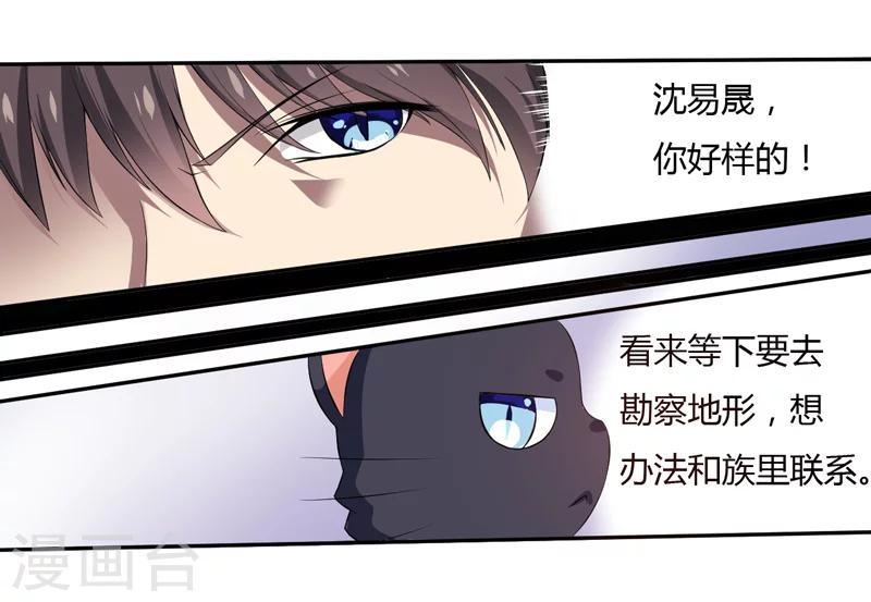 《在下铲屎官喵王在上》第3话 猫落平阳被犭欺 第12页