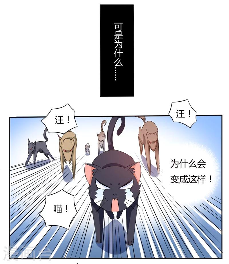 《在下铲屎官喵王在上》第3话 猫落平阳被犭欺 第13页