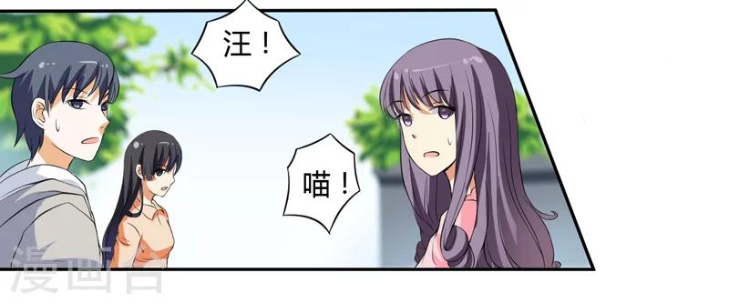 《在下铲屎官喵王在上》第3话 猫落平阳被犭欺 第14页