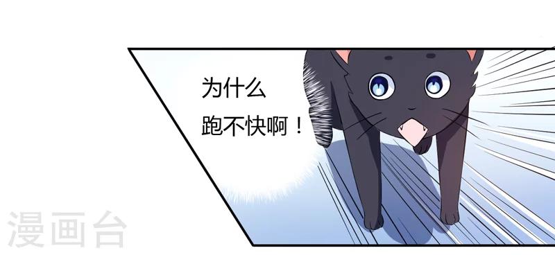 《在下铲屎官喵王在上》第3话 猫落平阳被犭欺 第15页