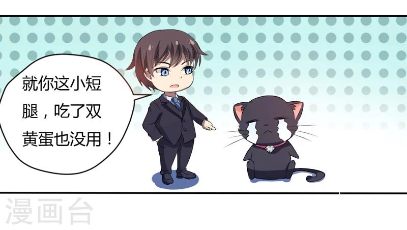 《在下铲屎官喵王在上》第3话 猫落平阳被犭欺 第16页