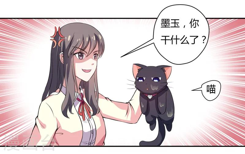 《在下铲屎官喵王在上》第3话 猫落平阳被犭欺 第21页