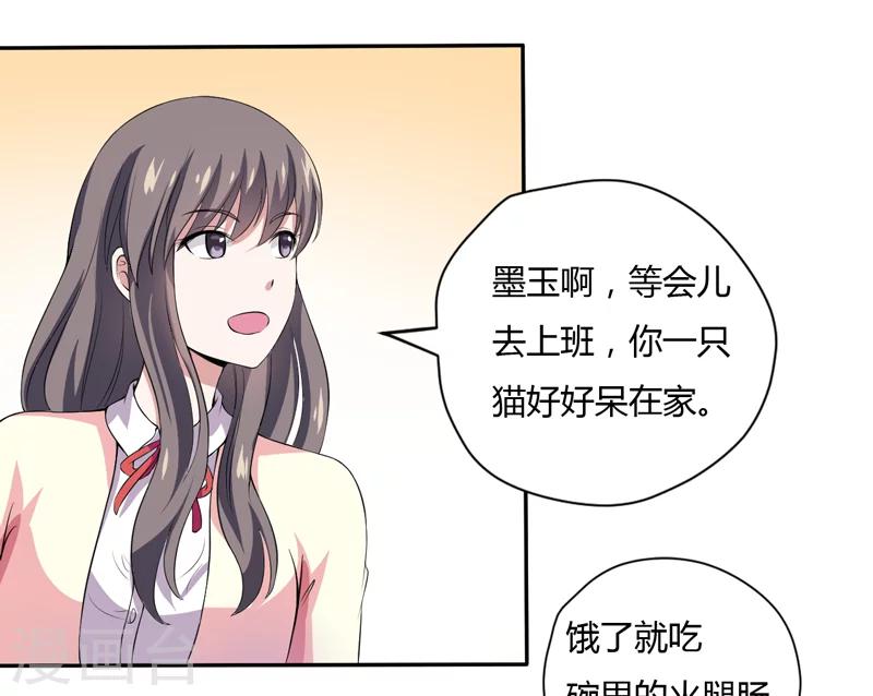 《在下铲屎官喵王在上》第3话 猫落平阳被犭欺 第3页