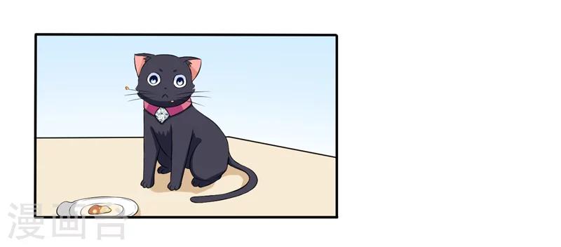 《在下铲屎官喵王在上》第3话 猫落平阳被犭欺 第6页