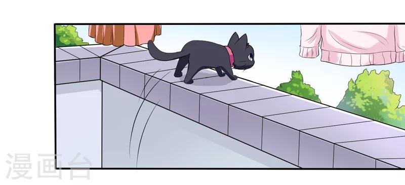 《在下铲屎官喵王在上》第3话 猫落平阳被犭欺 第7页