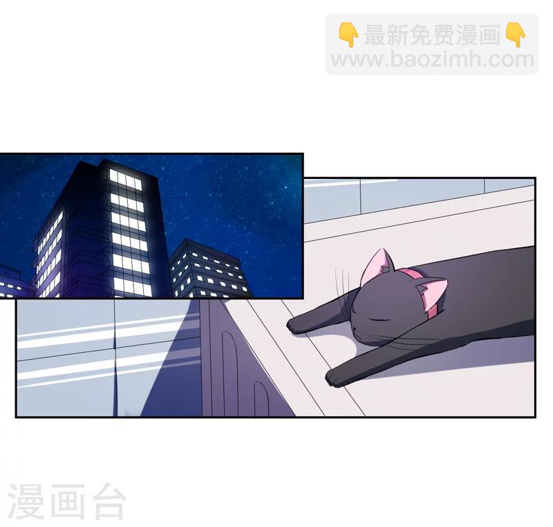 《在下铲屎官喵王在上》第1话 夜遇死猫？ 第13页