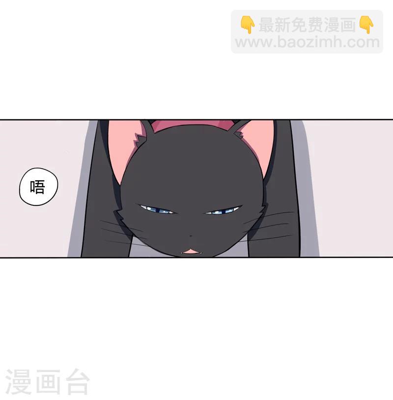 《在下铲屎官喵王在上》第1话 夜遇死猫？ 第14页
