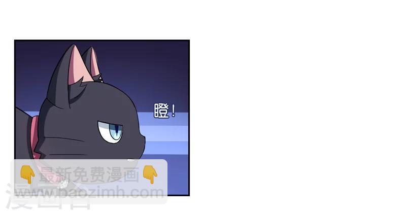《在下铲屎官喵王在上》第1话 夜遇死猫？ 第20页