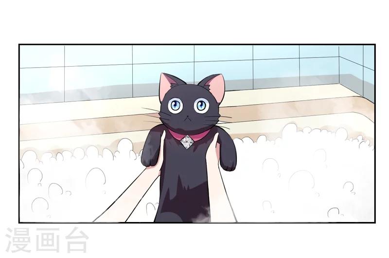 《在下铲屎官喵王在上》第1话 夜遇死猫？ 第25页