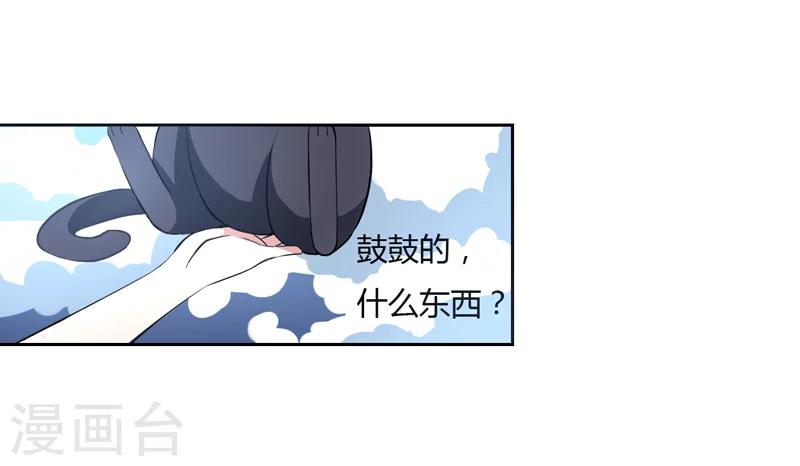 《在下铲屎官喵王在上》第1话 夜遇死猫？ 第26页