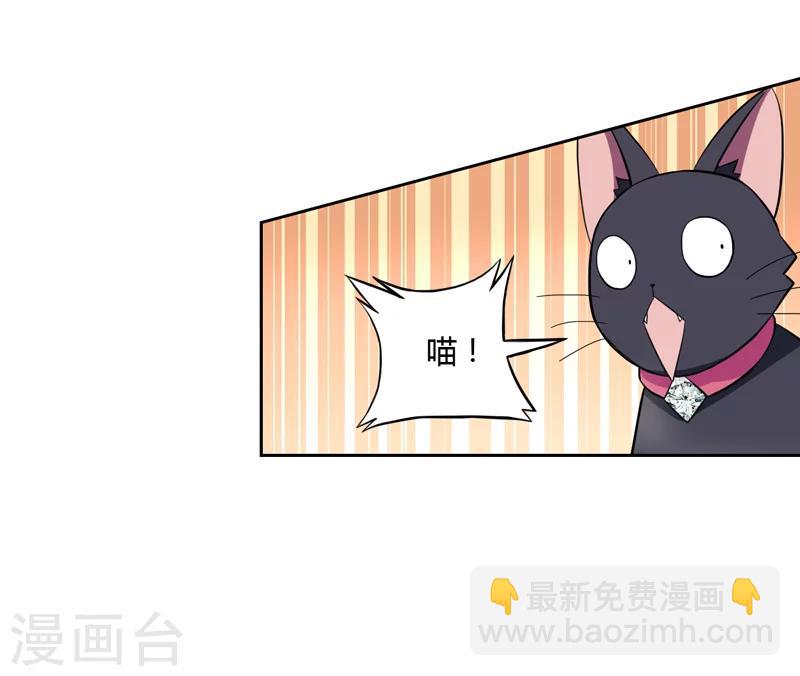 《在下铲屎官喵王在上》第1话 夜遇死猫？ 第27页