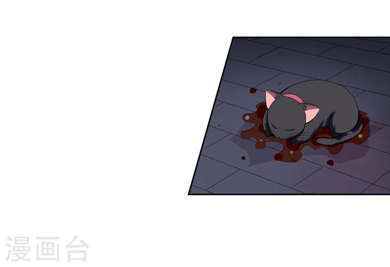《在下铲屎官喵王在上》第1话 夜遇死猫？ 第8页