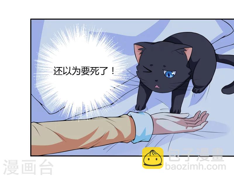 《在下铲屎官喵王在上》第6话 宇宙无敌狂霸酷拽炫 第6页
