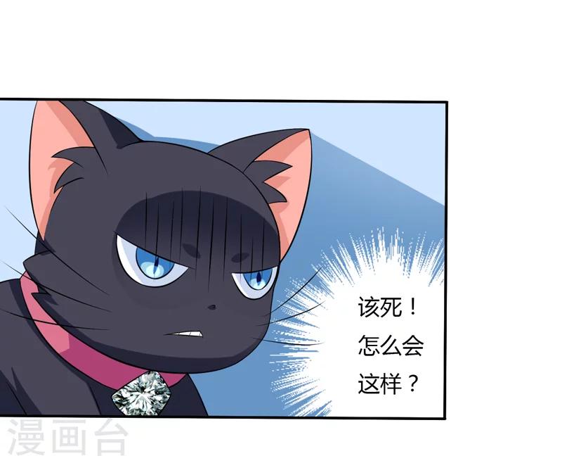 《在下铲屎官喵王在上》第7话 谁是你们的主母？ 第22页