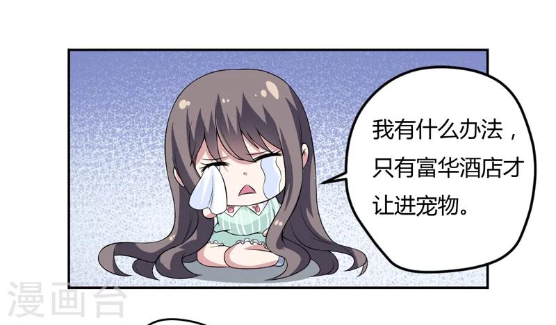 《在下铲屎官喵王在上》第7话 谁是你们的主母？ 第34页