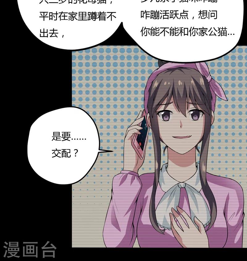 《在下铲屎官喵王在上》第7话 谁是你们的主母？ 第5页