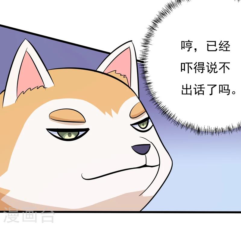 《在下铲屎官喵王在上》第78话 委曲求全 第19页