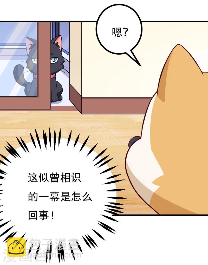 《在下铲屎官喵王在上》第85话 逮到你们了！ 第31页